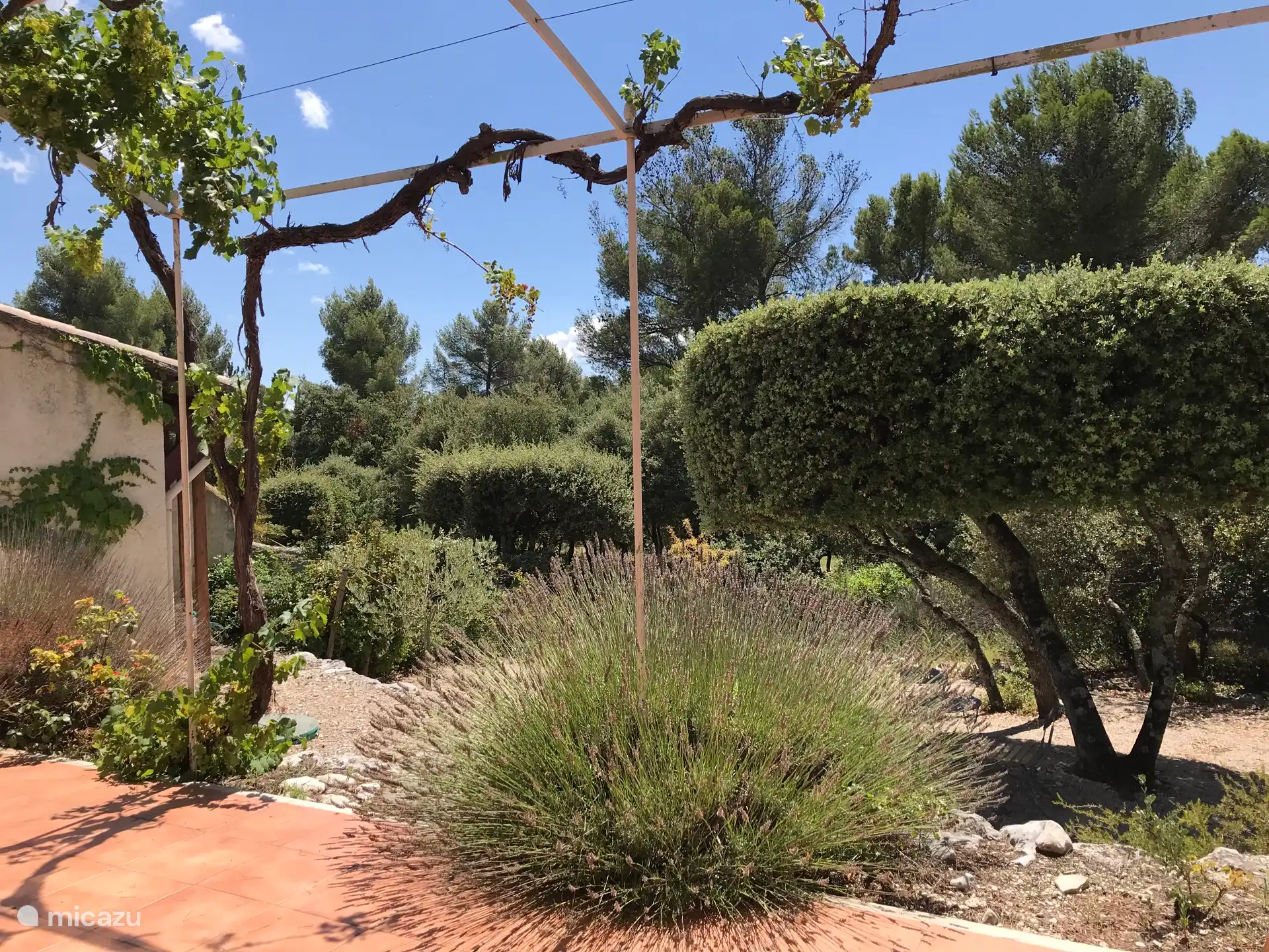Blick von der Terrasse auf die Umgebung Süd