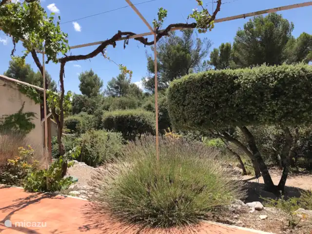 Location de Vacances France, Vaucluse, Bédoin, villa - Villa Sol Vue de la terrasse sur les environs Sud