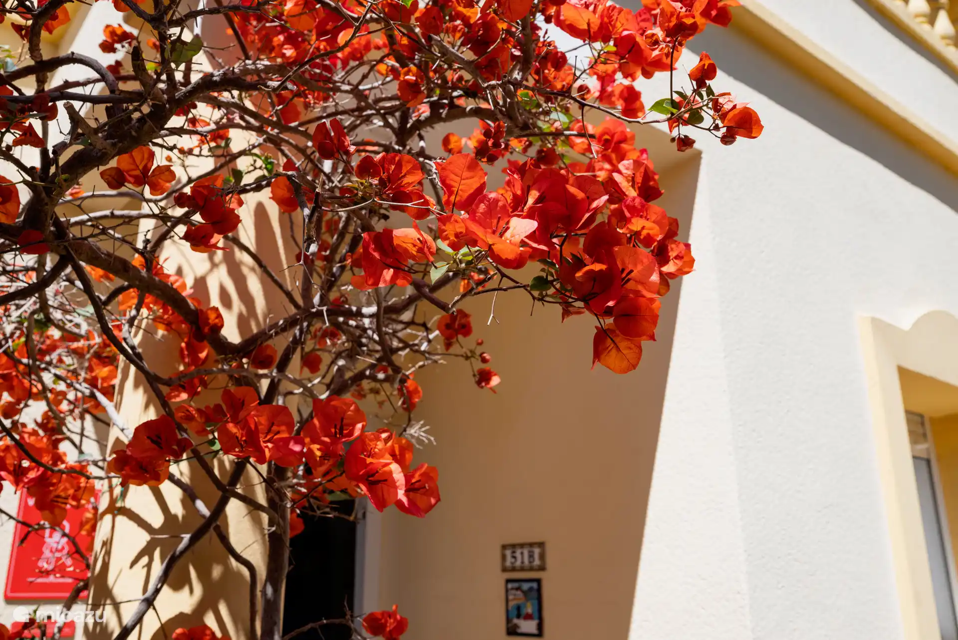 Belles fleurs à l’entrée de la maison