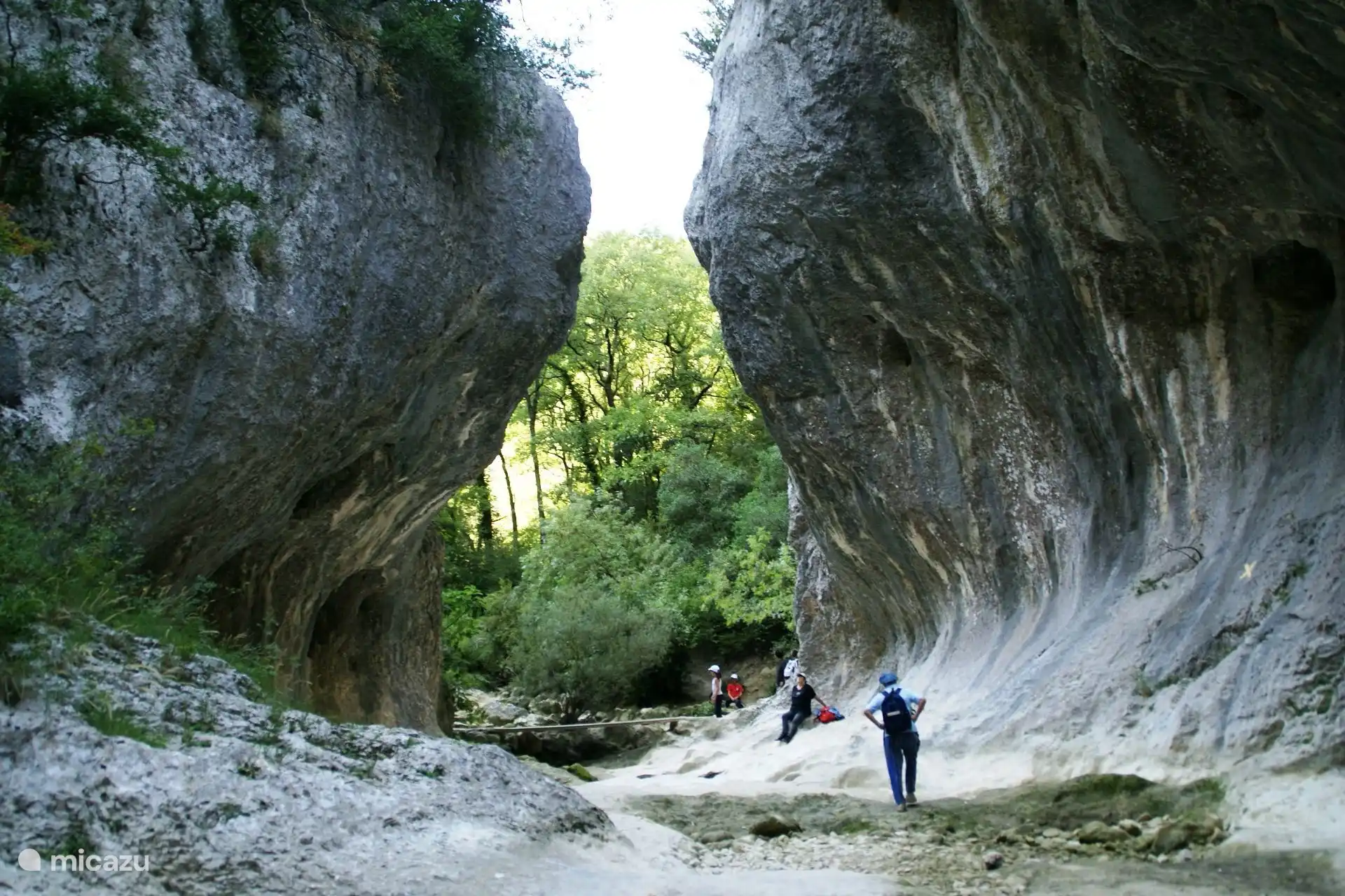 Die Schlussfolgerung 