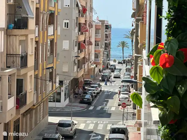 Appartement Solyvino | Espagne, Costa Blanca, Torrevieja - appartement Vue