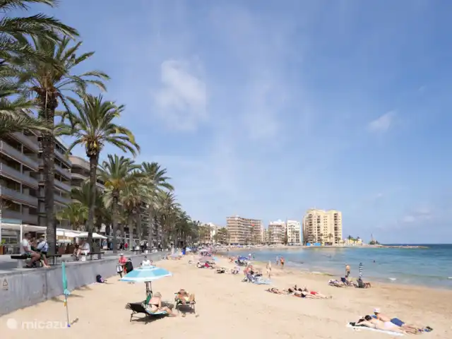 Appartement Solyvino | Espagne, Costa Blanca, Torrevieja - appartement