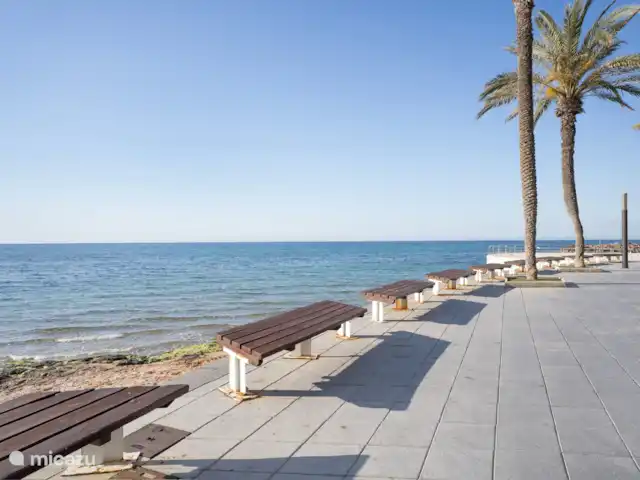 Appartement Solyvino | Espagne, Costa Blanca, Torrevieja - appartement