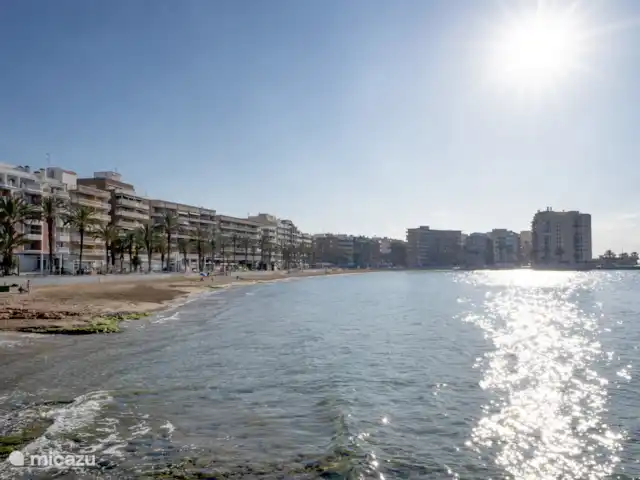 Appartement Solyvino | Espagne, Costa Blanca, Torrevieja - appartement