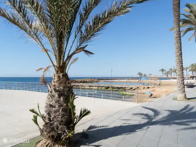 Appartement Solyvino | Espagne, Costa Blanca, Torrevieja - appartement