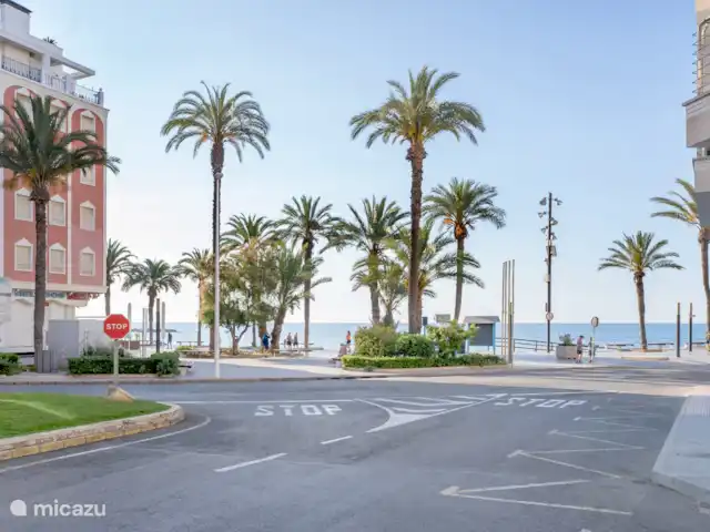 Appartement Solyvino | Espagne, Costa Blanca, Torrevieja - appartement
