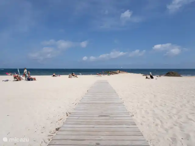 Appartement Solyvino | Espagne, Costa Blanca, Torrevieja - appartement