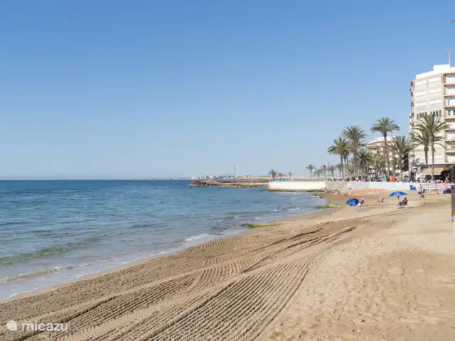 Appartement Solyvino | Espagne, Costa Blanca, Torrevieja - appartement