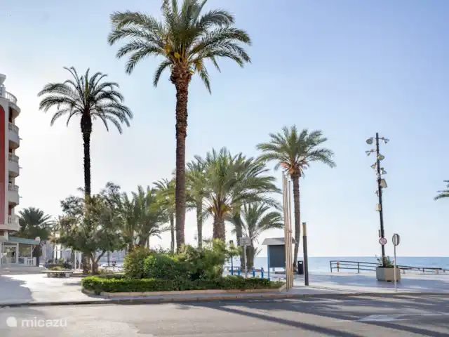 Appartement Solyvino | Espagne, Costa Blanca, Torrevieja - appartement