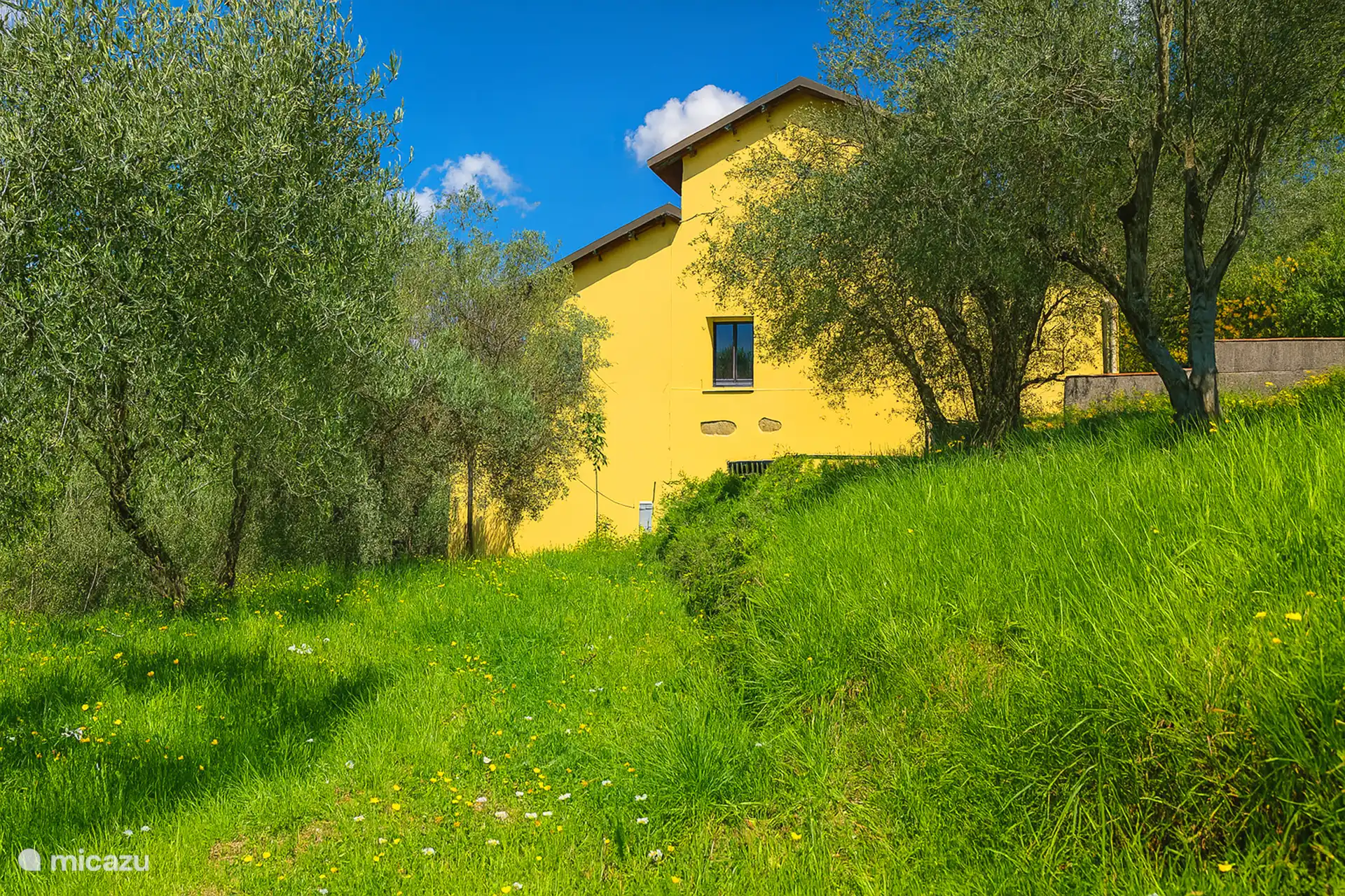 Blick auf die Villa vom Olivenhain