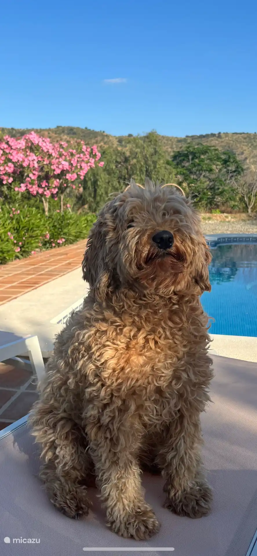 ¡Esta es nuestra alegre Milly, hermana de Lucy! 