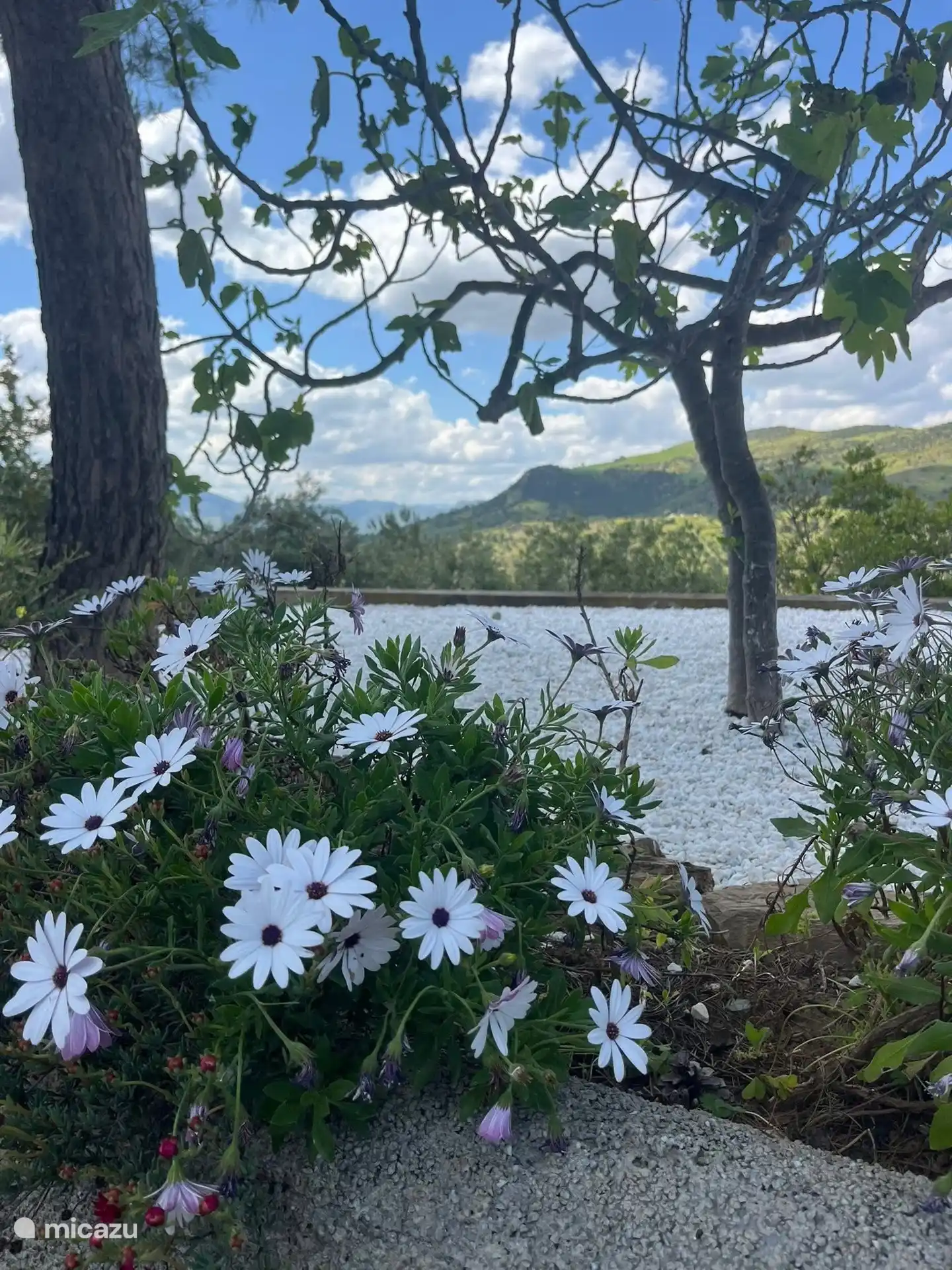 Ein Panoramablick von dieser schönen Terrasse, auf der Sie sich entspannen können!