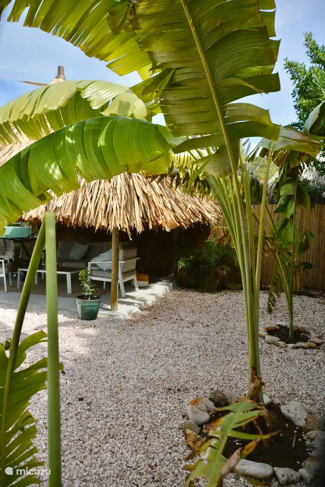 Blick in den Garten.