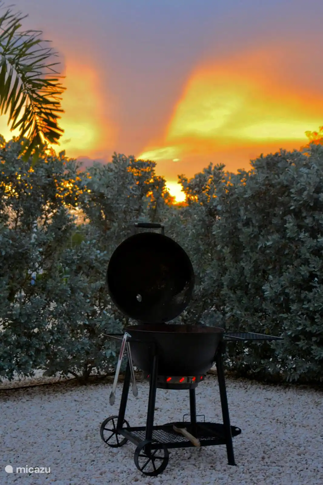 Grillen bei Sonnenuntergang.