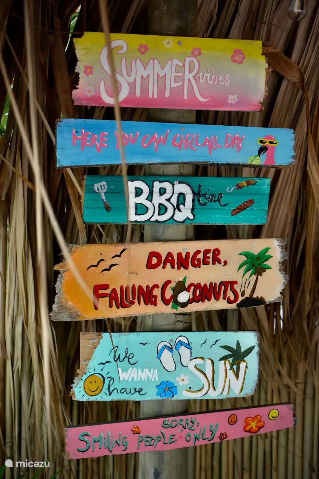 Atmosphärisches Fotopalapa.