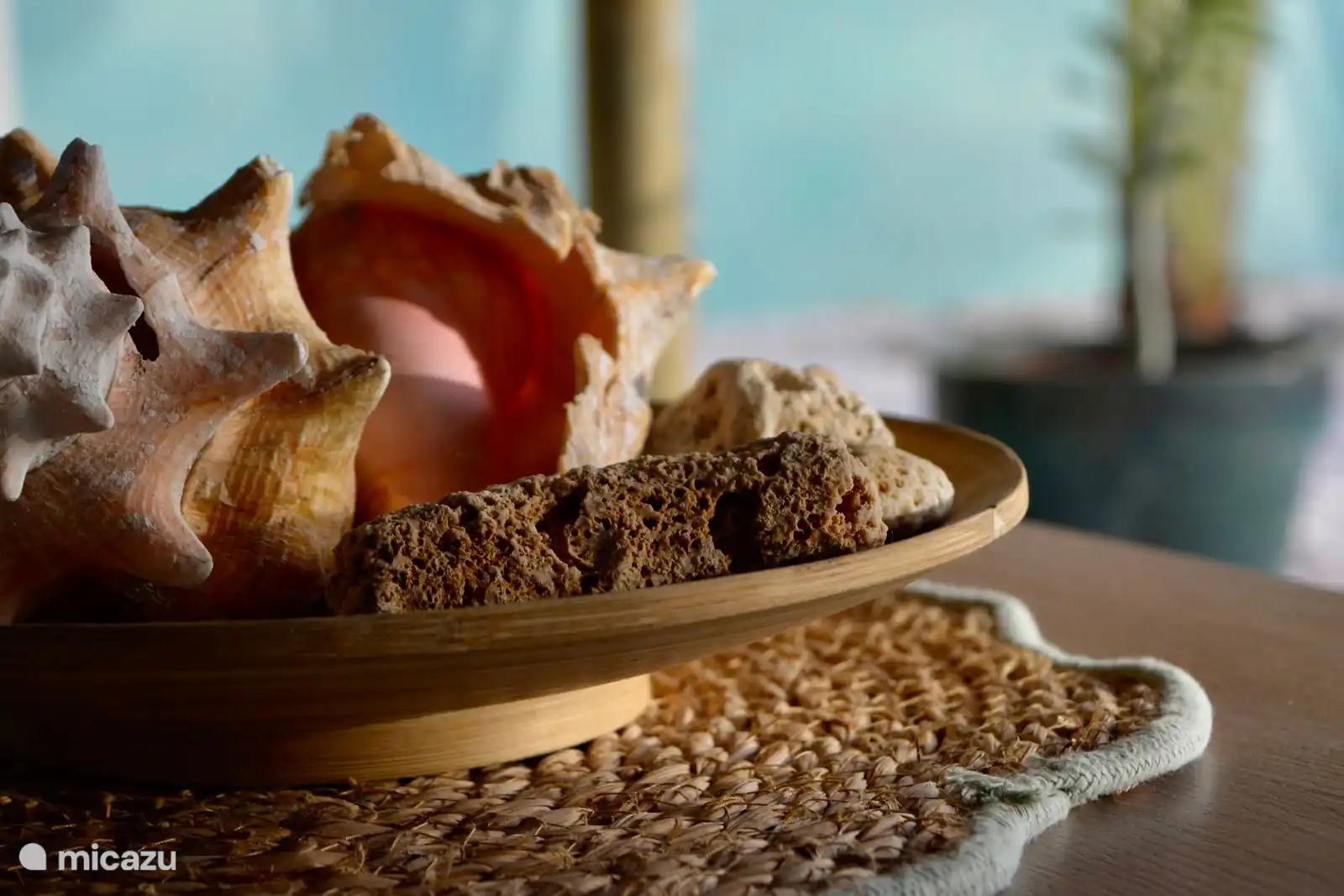 Atmosphärisches Fotopalapa.