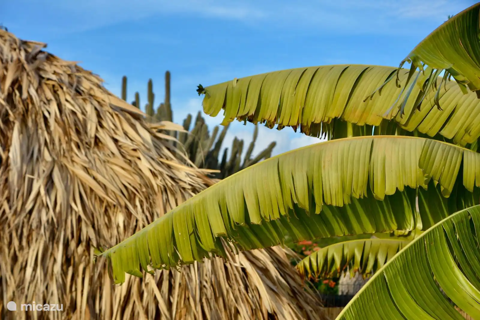 Atmosphärisches Foto.