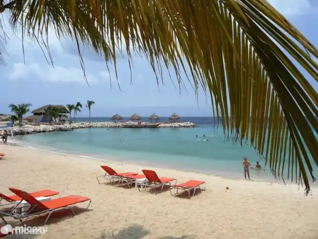 villa huren in Curaçao, Curacao-Midden, Blue Bay – Blue Bay Beach Villa@Pool Great Beach of Blue Bay. Heerlijk strand in rustige baai met gratis gebruik van parasols en ligbedden voor onze gasten.