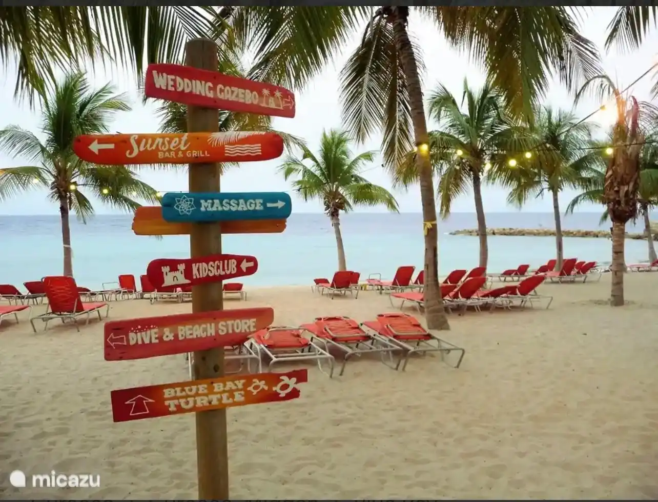 Plongée, snorkeling, massage ou location de kayak, il y a beaucoup à faire