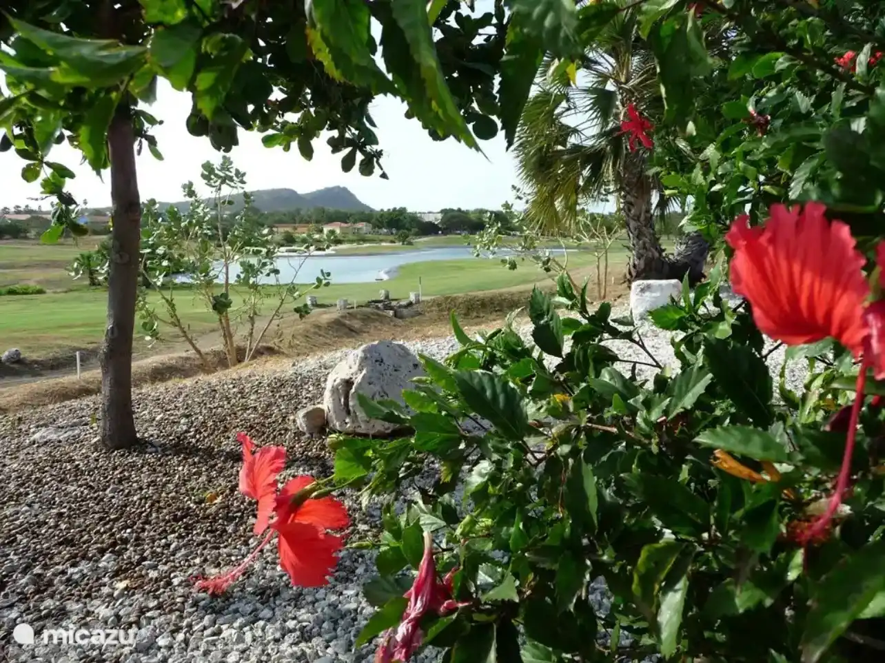 Vue depuis le porche