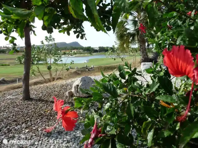 villa huren in Curaçao, Curacao-Midden, Blue Bay – Blue Bay Beach Villa@Pool Uitzicht vanaf de porch