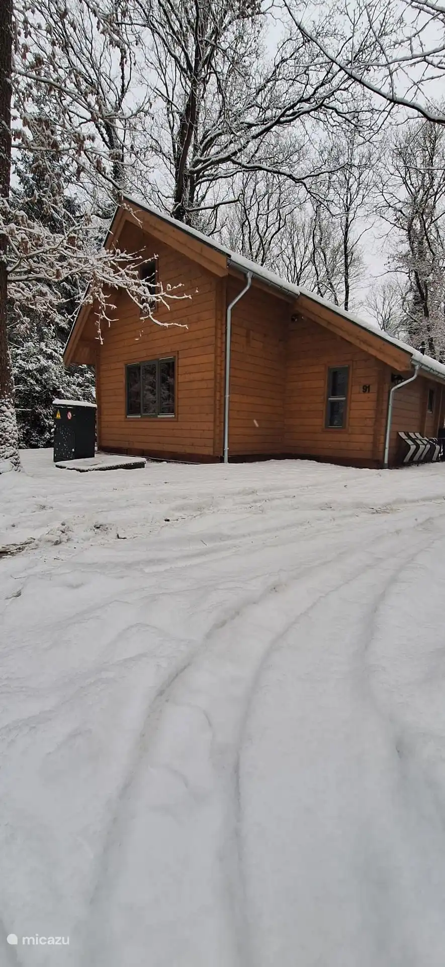Snow photo