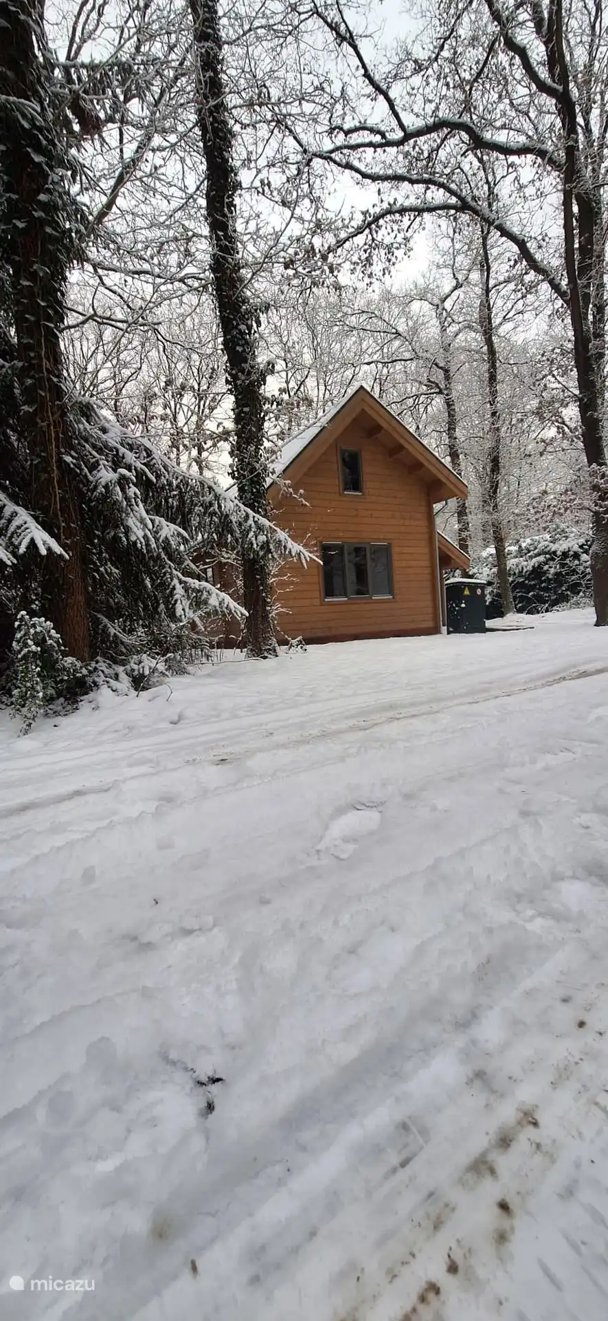 Snow photo