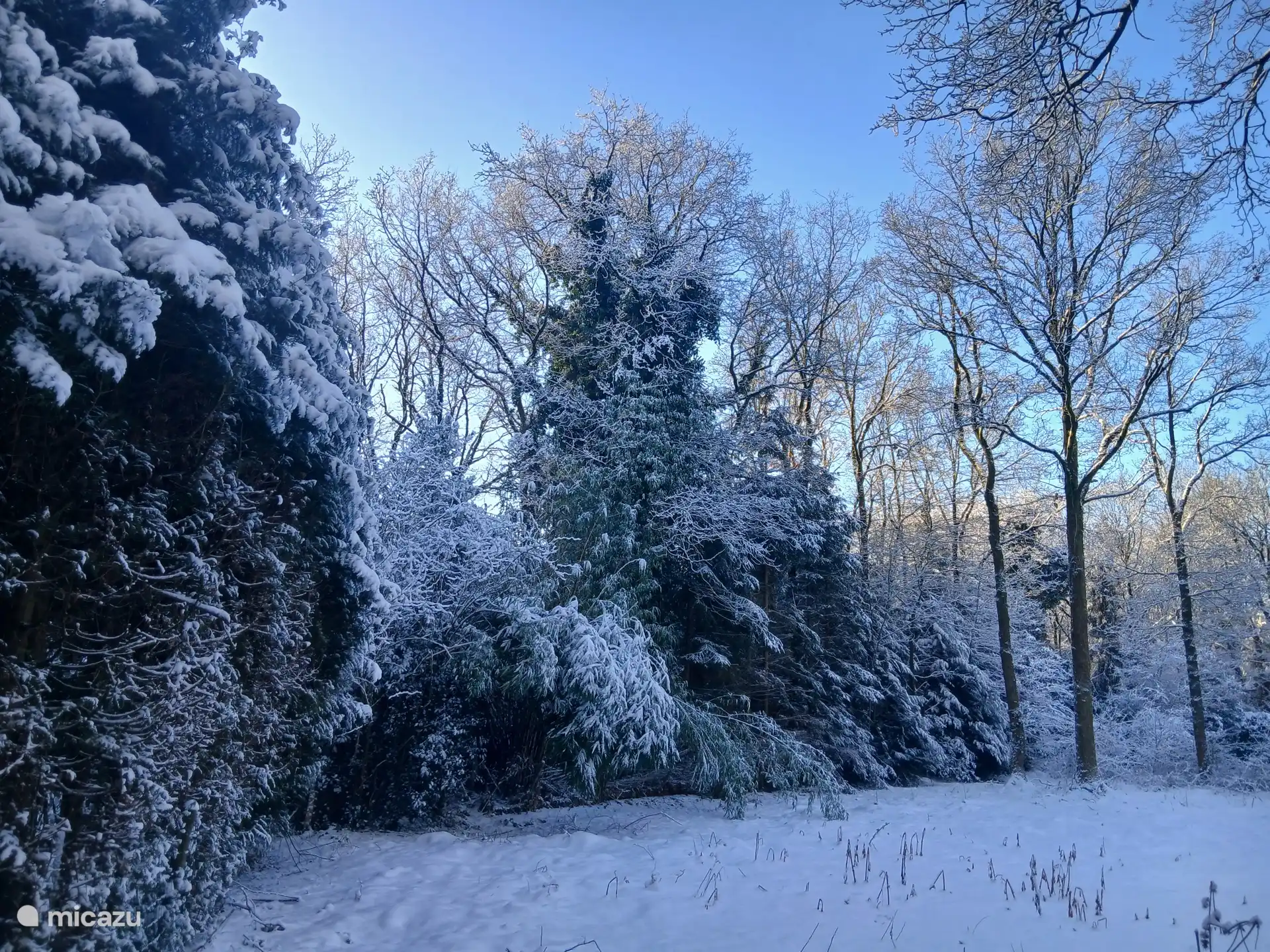 Surroundings