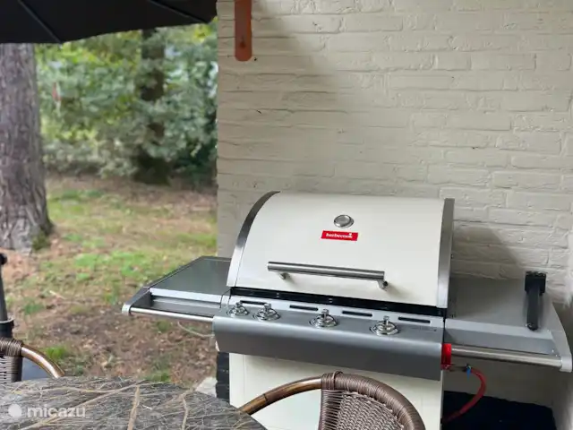 Vosseven 35, Barge à queue noire | Pays-Bas, Limbourg, Stramproy - bungalow Barbecue