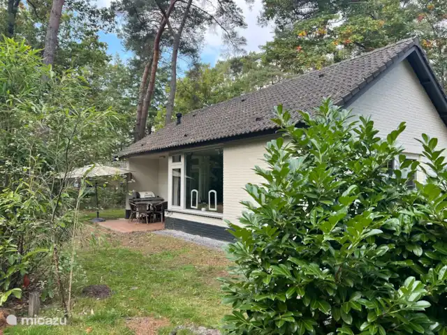 Vosseven 35, Barge à queue noire | Pays-Bas, Limbourg, Stramproy - bungalow .