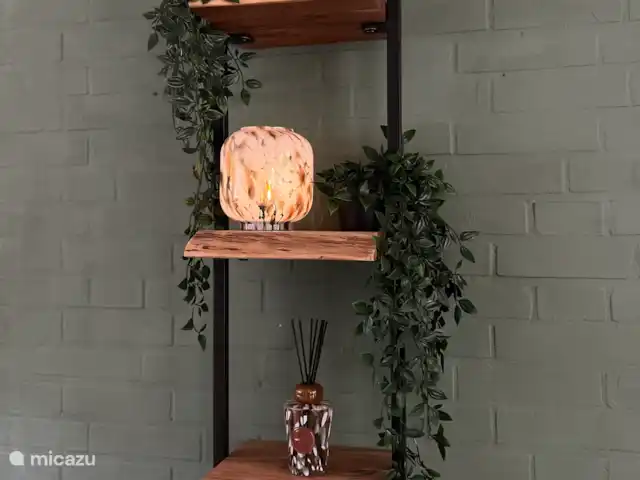 Vosseven 35, Barge à queue noire | Pays-Bas, Limbourg, Stramproy - bungalow .