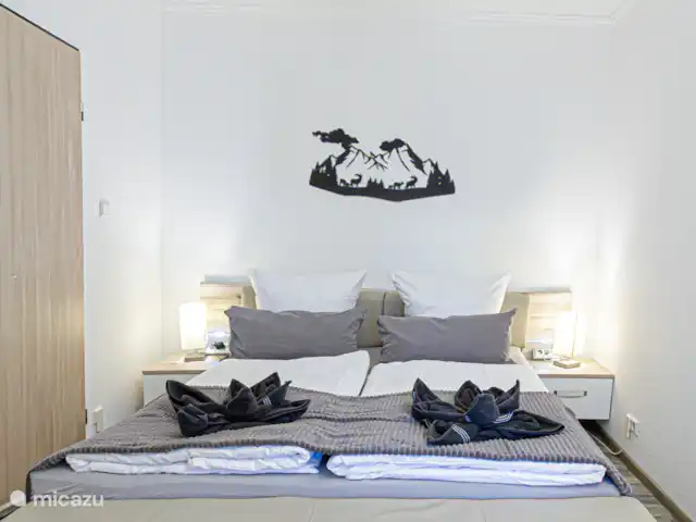 Location de Vacances Allemagne, Sauerland, Winterberg, appartement - Appartement Winterberg Activités & Détente Chambre
