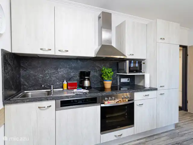 Location de Vacances Allemagne, Sauerland, Winterberg, appartement - Appartement Winterberg Activités & Détente cuisine entièrement équipée