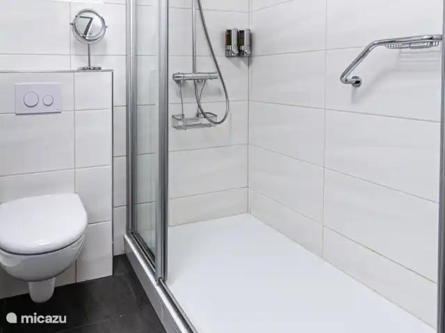 Location de Vacances Allemagne, Sauerland, Winterberg, appartement - Appartement Winterberg Activités & Détente Grande douche