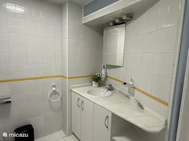 Casa Flamenco en España, Costa Blanca, Orihuela Costa - apartamento Baño