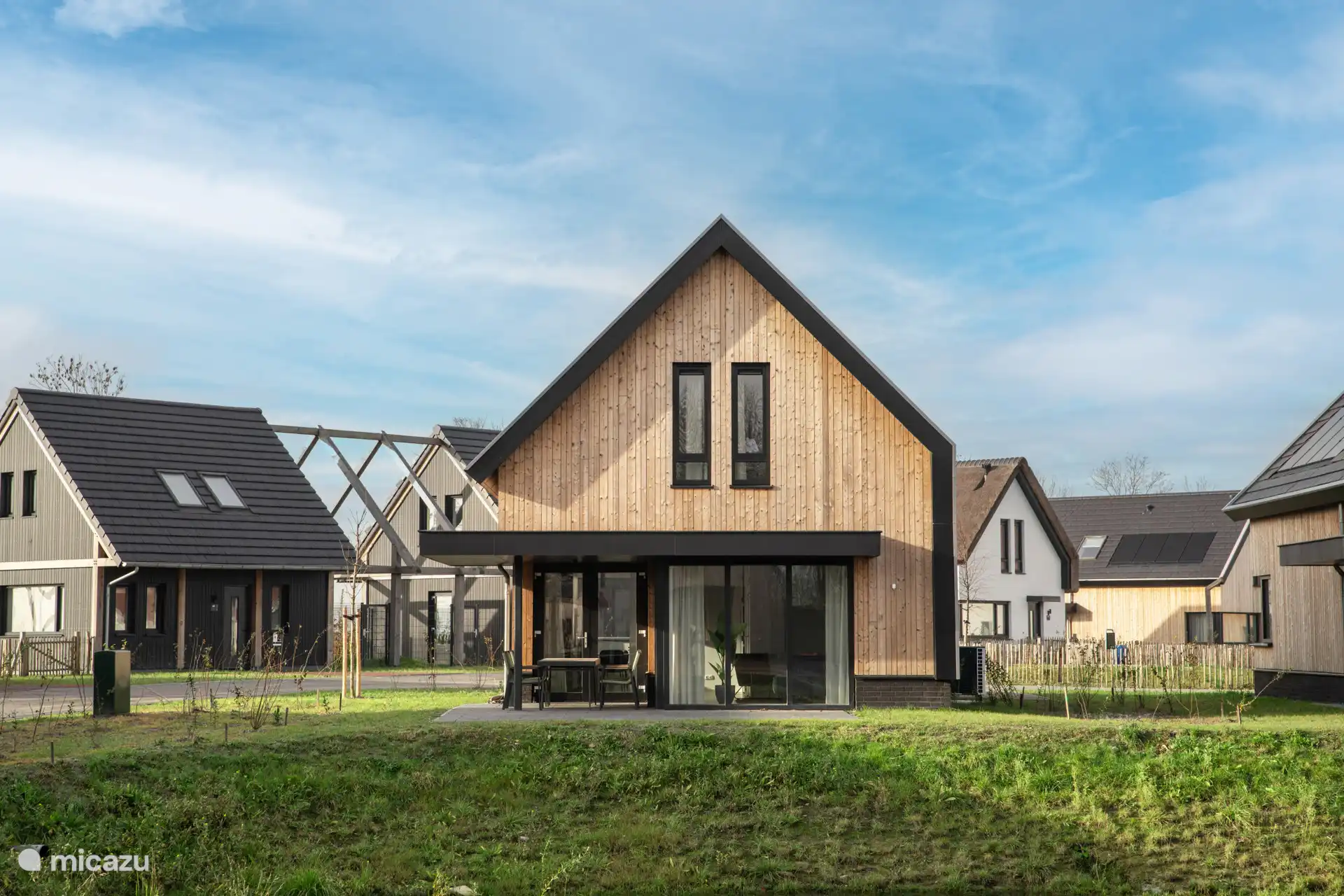  Dünengras in Niederlande, Zeeland, Nieuwvliet-Bad - ferienhaus