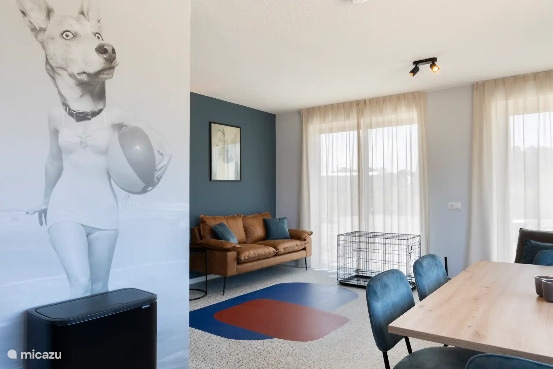 Location de Vacances Pays-Bas, Zélande, Nieuwvliet-Bad, maison de vacances -  Vue sur le jardin Animaux acceptés