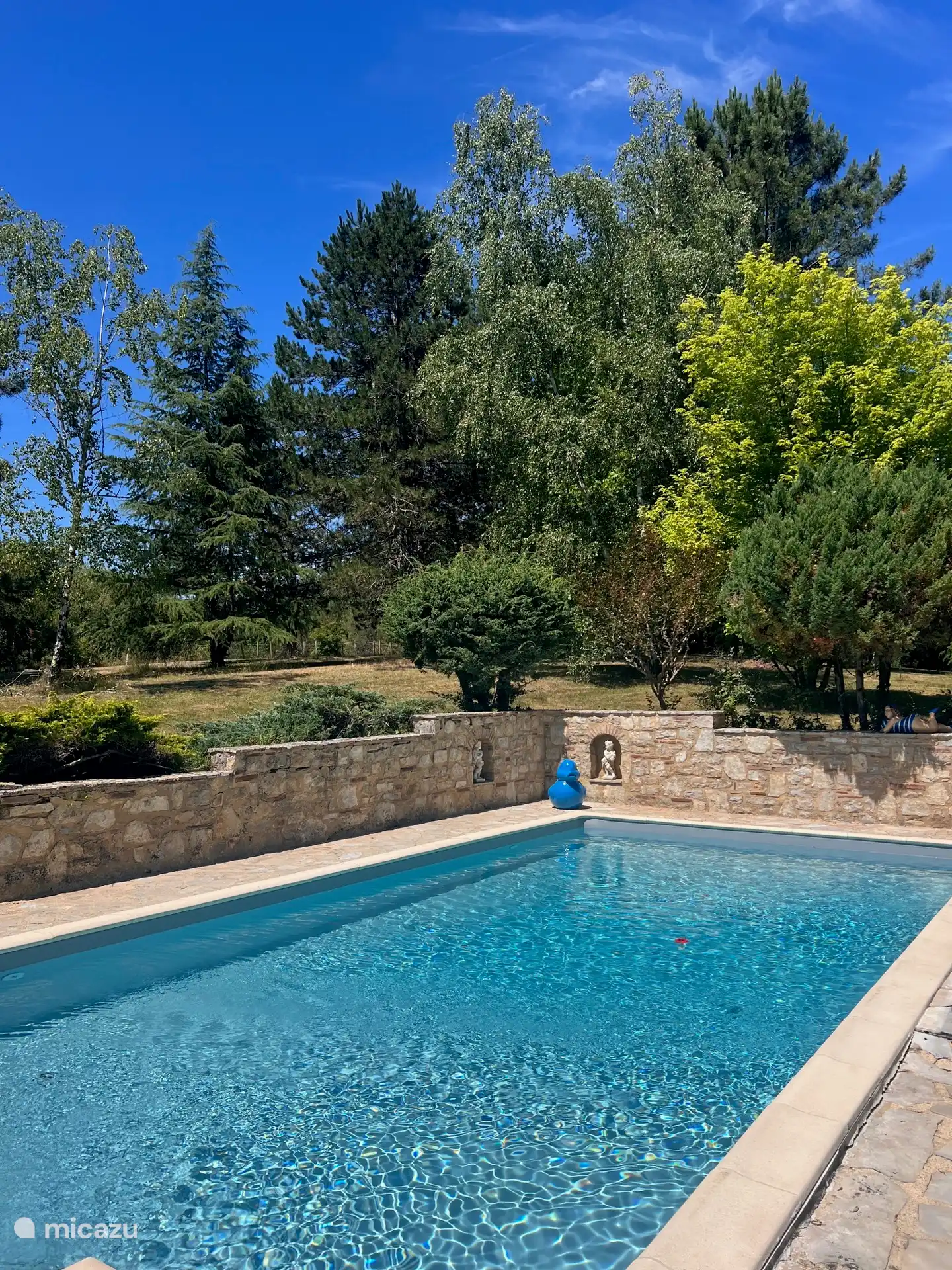 Schwimmbecken 8,5 x 4 m (Tiefe bis zu 2 Meter!)