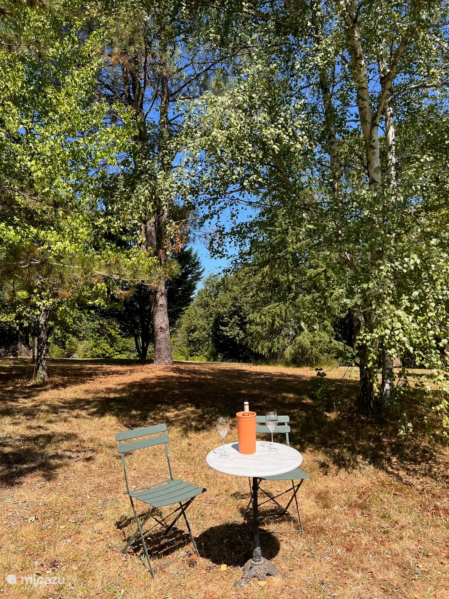 Privater Wald des Hauses.