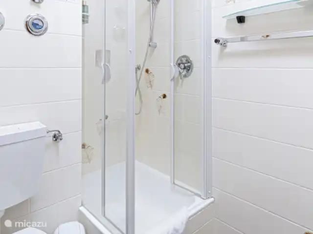 Location de Vacances Allemagne, Sauerland, Winterberg, appartement - Appartement Montagne Magie Sauna Biker Park Ski Salle de bain avec douche