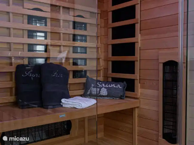 Location de Vacances Allemagne, Sauerland, Winterberg, appartement - Appartement Montagne Magie Sauna Biker Park Ski Sauna infrarouge
Serviettes de sauna incluses