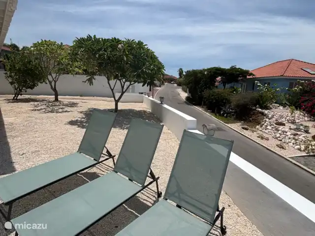 Location de Vacances Curaçao, Banda Abou (ouest), Barber, villa - Villa de luxe -panormisch/Piscine privée 3 transats parfaits pour le bronzage.
