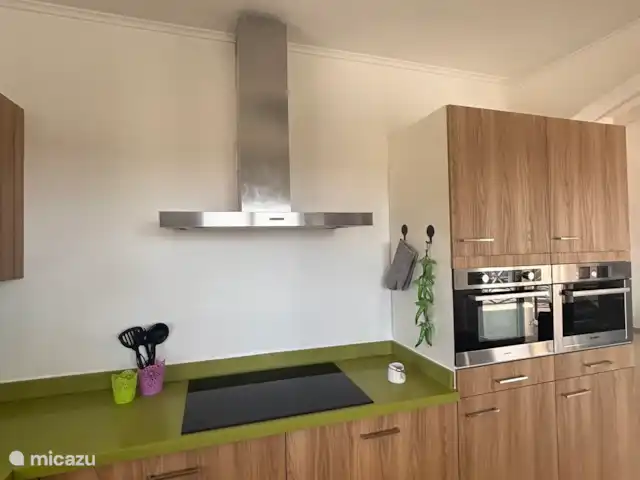 Location de Vacances Curaçao, Banda Abou (ouest), Barber, villa - Villa de luxe -panormisch/Piscine privée Cuisine entièrement équipée avec tout le nécessaire. 
Lave-vaisselle 
Cafetière
Four combiné
Lave-vaisselle 
Table de cuisson à induction 
Succion
Bouilloire 
Grille-pain 
Combiné réfrigérateur-congélateur 
Poubelle