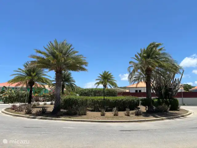 Location de Vacances Curaçao, Banda Abou (ouest), Barber, villa - Villa de luxe -panormisch/Piscine privée En entrant dans une réception tropicale à la fontaine du parc de la villa