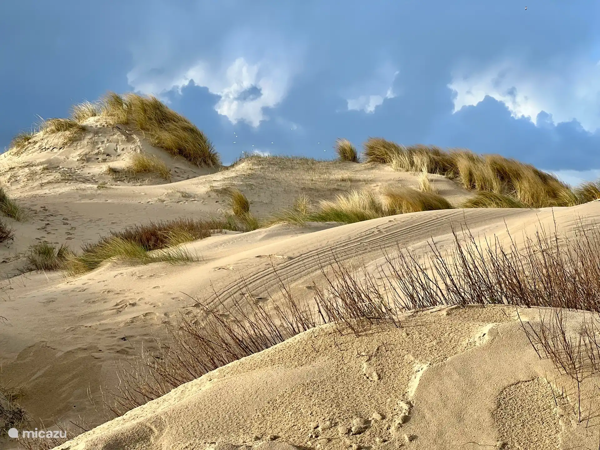 Dunes in front of the house