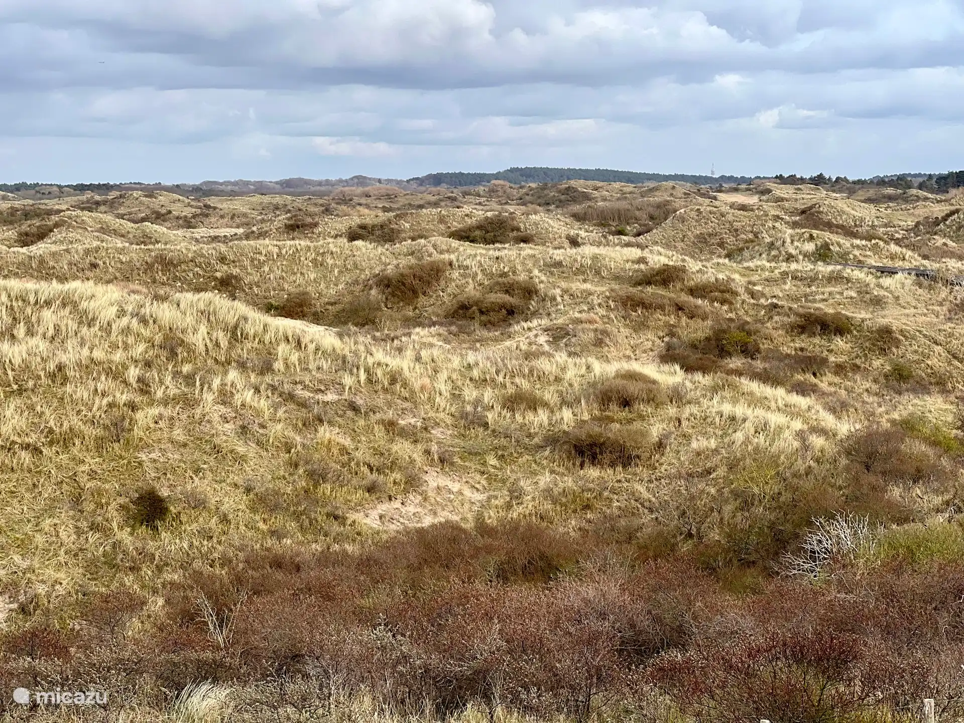 View from the bedroom