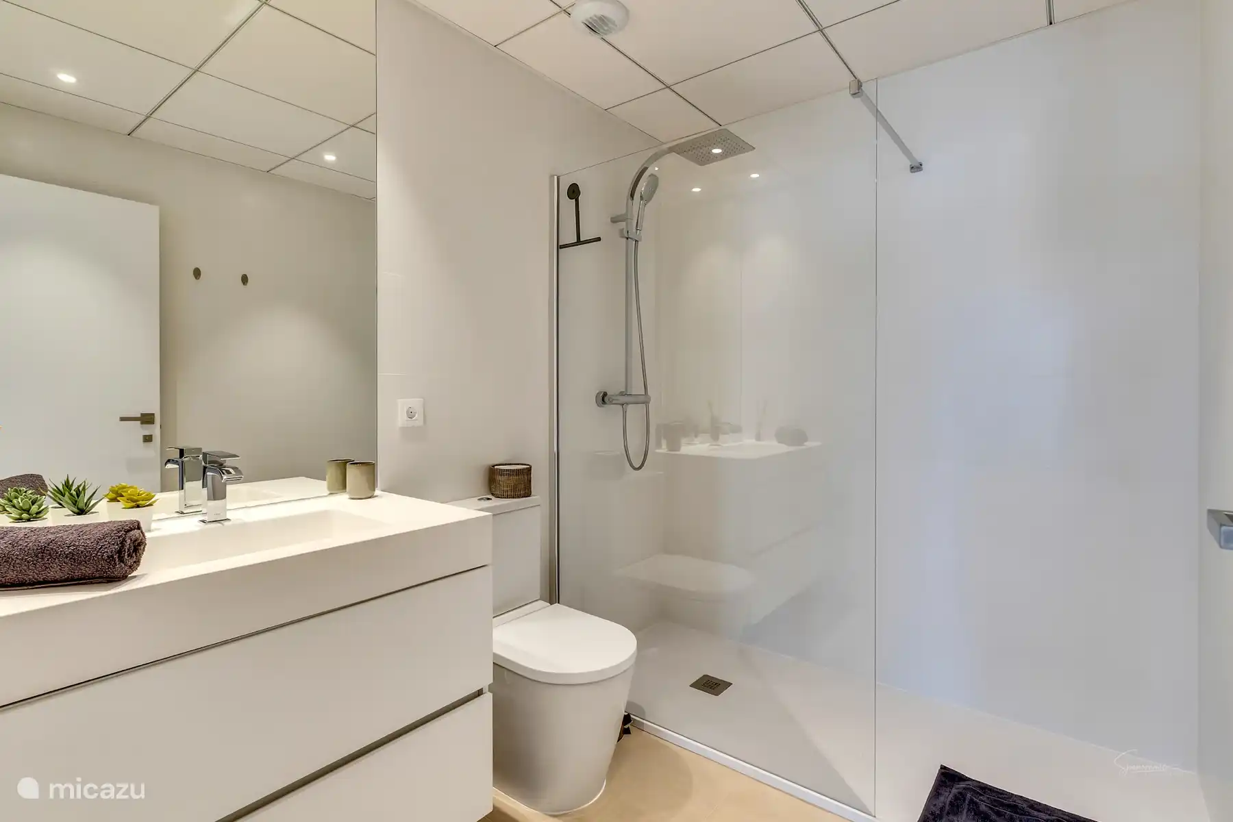 Separates Badezimmer mit begehbarer Dusche, Waschbecken und WC