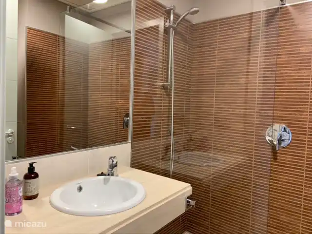 appartement huren in Spanje, Costa de Almería, Vera – Cielo Badkamer 2