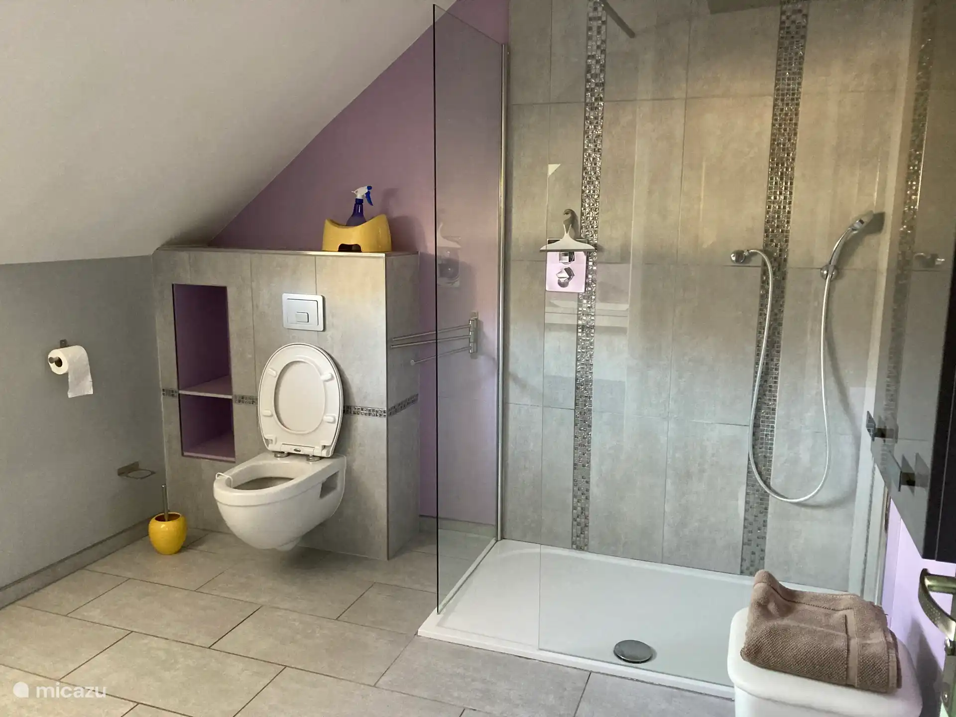 Begehbare Dusche und WC im Bad im 1. OG