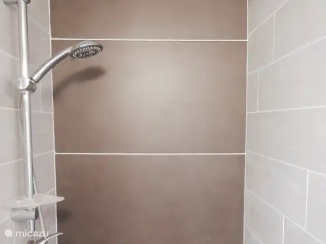 casa vacacional en España, Andalucía, Cortés de la Frontera – Finca La Rana Verde Casas de vacaciones El Cuartón - ducha